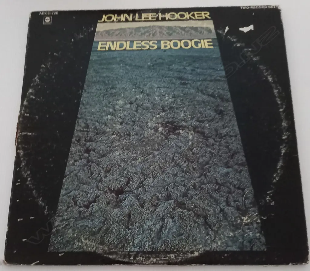 John Lee Hooker, Endless Boogie (Double album) Image 1++